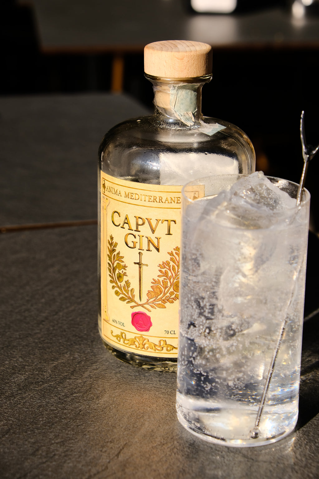 CAPVT GIN – Gift Edition